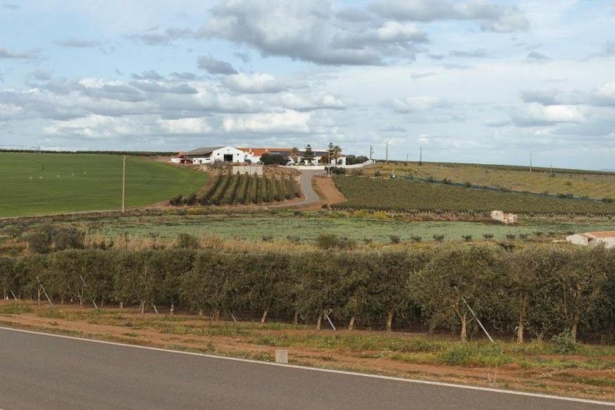 Hotel Quinta Do Castelo Beja Exteriér fotografie